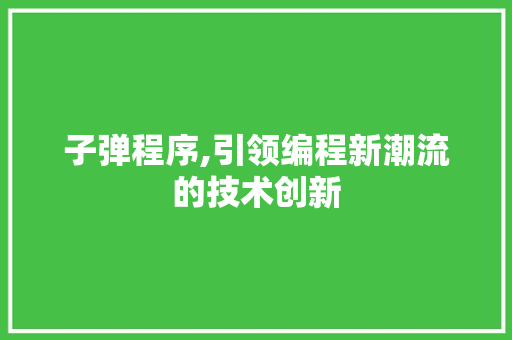 子弹程序,引领编程新潮流的技术创新