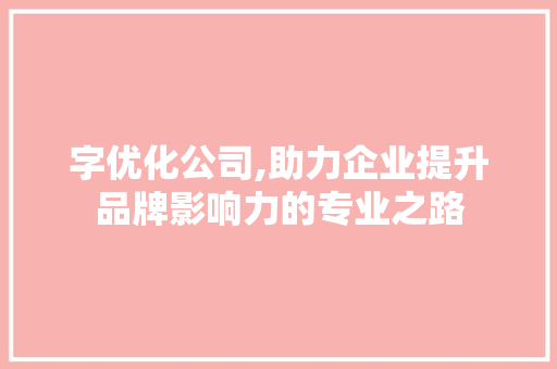 字优化公司,助力企业提升品牌影响力的专业之路