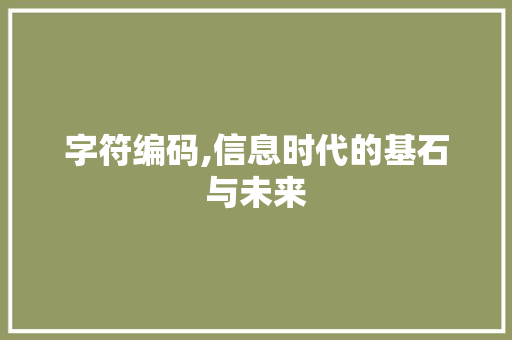 字符编码,信息时代的基石与未来 字符编码,信息时代的基石与未来 必应SEO
