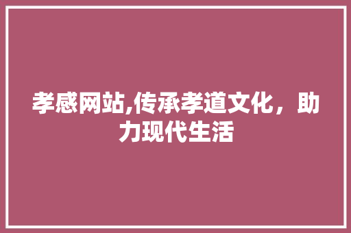 孝感网站,传承孝道文化，助力现代生活 孝感网站,传承孝道文化，助力现代生活 搜狗SEO
