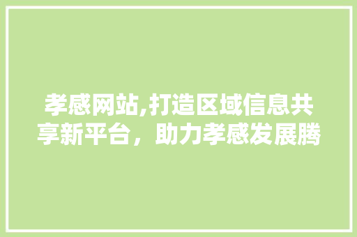 孝感网站,打造区域信息共享新平台，助力孝感发展腾飞