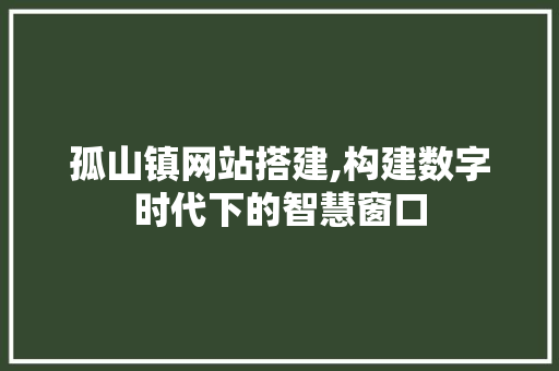孤山镇网站搭建,构建数字时代下的智慧窗口 孤山镇网站搭建,构建数字时代下的智慧窗口 搜狗SEO