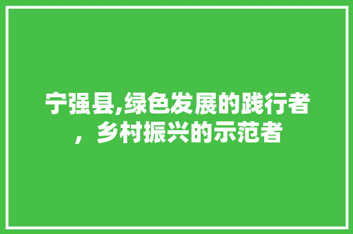 宁强县,绿色发展的践行者，乡村振兴的示范者 宁强县,绿色发展的践行者，乡村振兴的示范者 百度SEO