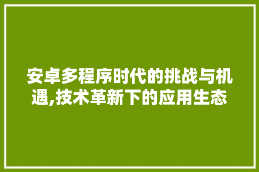 安卓多程序时代的挑战与机遇,技术革新下的应用生态演进 安卓多程序时代的挑战与机遇,技术革新下的应用生态演进 必应SEO