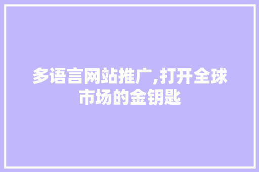 多语言网站推广,打开全球市场的金钥匙