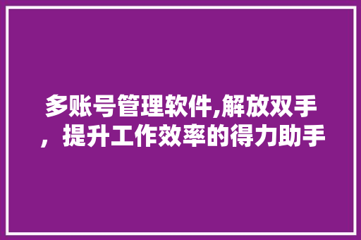 多账号管理软件,解放双手，提升工作效率的得力助手 多账号管理软件,解放双手，提升工作效率的得力助手 百度SEO