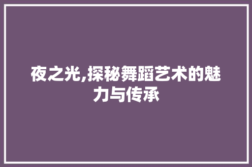 夜之光,探秘舞蹈艺术的魅力与传承