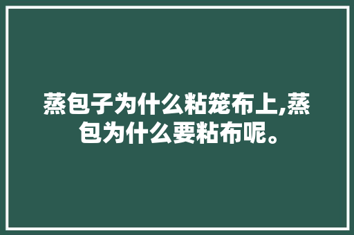 蒸包子为什么粘笼布上,蒸包为什么要粘布呢。
