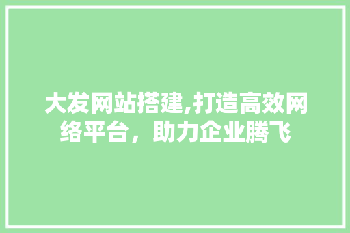 大发网站搭建,打造高效网络平台，助力企业腾飞
