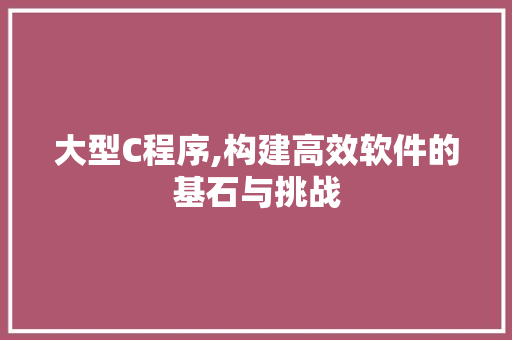 大型C程序,构建高效软件的基石与挑战
