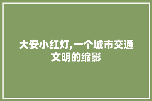 大安小红灯,一个城市交通文明的缩影