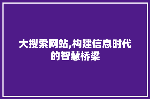 大搜索网站,构建信息时代的智慧桥梁
