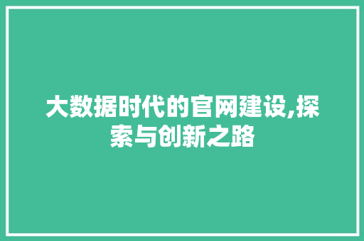 大数据时代的官网建设,探索与创新之路