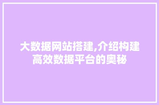 大数据网站搭建,介绍构建高效数据平台的奥秘 大数据网站搭建,介绍构建高效数据平台的奥秘 百度SEO