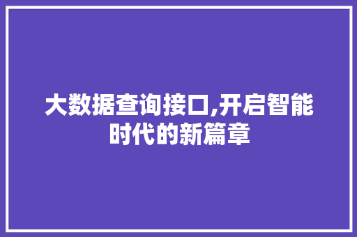 大数据查询接口,开启智能时代的新篇章 大数据查询接口,开启智能时代的新篇章 百度SEO