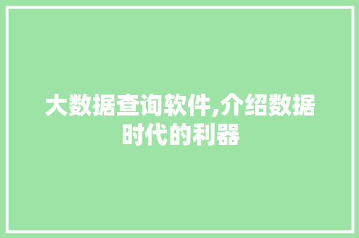 大数据查询软件,介绍数据时代的利器
