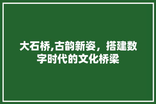 大石桥,古韵新姿，搭建数字时代的文化桥梁 大石桥,古韵新姿，搭建数字时代的文化桥梁 网站建设公司