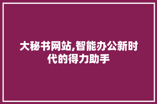 大秘书网站,智能办公新时代的得力助手