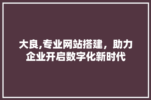 大良,专业网站搭建，助力企业开启数字化新时代