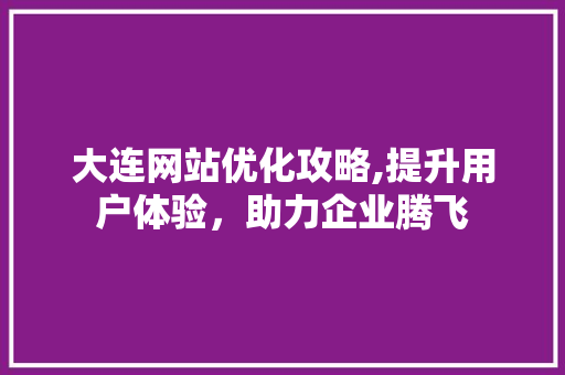 大连网站优化攻略,提升用户体验，助力企业腾飞