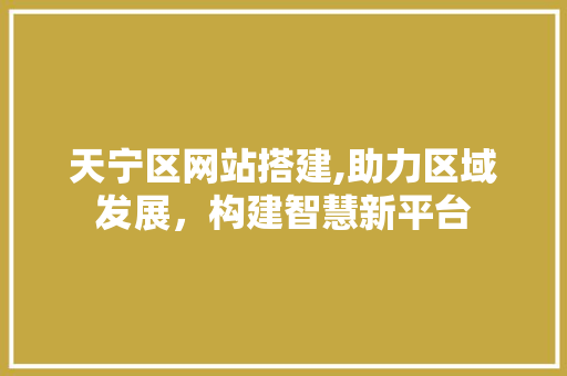 天宁区网站搭建,助力区域发展，构建智慧新平台