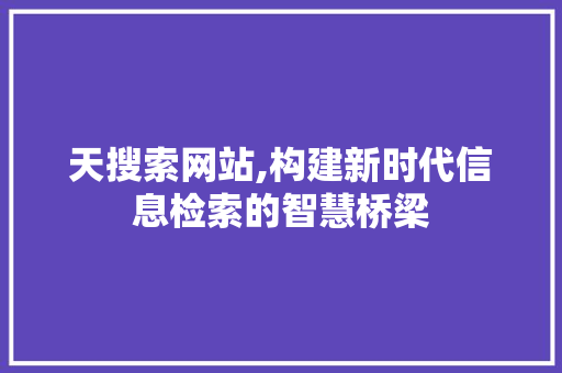 天搜索网站,构建新时代信息检索的智慧桥梁 天搜索网站,构建新时代信息检索的智慧桥梁 搜狗SEO