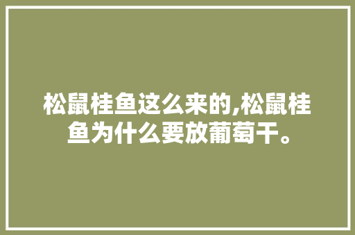 松鼠桂鱼这么来的,松鼠桂鱼为什么要放葡萄干。