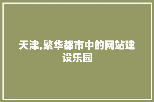 天津,繁华都市中的网站建设乐园 天津,繁华都市中的网站建设乐园 网站建设公司