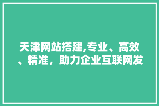 天津网站搭建,专业、高效、精准，助力企业互联网发展 天津网站搭建,专业、高效、精准，助力企业互联网发展 网站建设公司