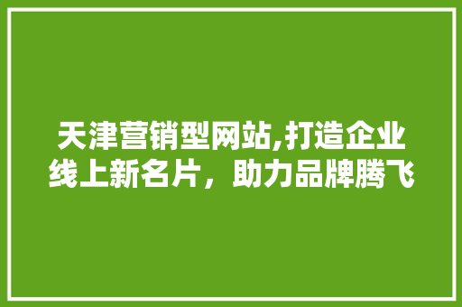 天津营销型网站,打造企业线上新名片，助力品牌腾飞