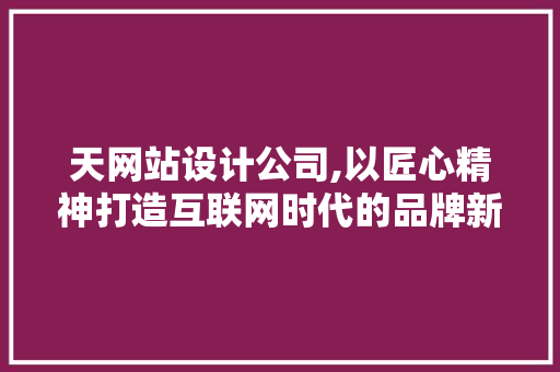 天网站设计公司,以匠心精神打造互联网时代的品牌新形象 天网站设计公司,以匠心精神打造互联网时代的品牌新形象 网站建设公司