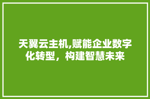 天翼云主机,赋能企业数字化转型，构建智慧未来