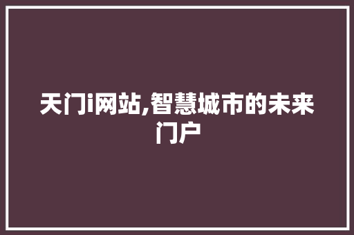 天门i网站,智慧城市的未来门户