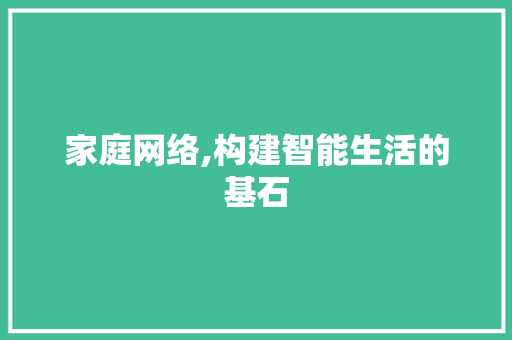 家庭网络,构建智能生活的基石 家庭网络,构建智能生活的基石 神马SEO