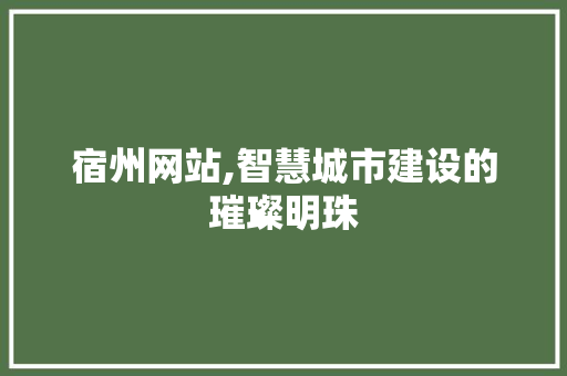 宿州网站,智慧城市建设的璀璨明珠