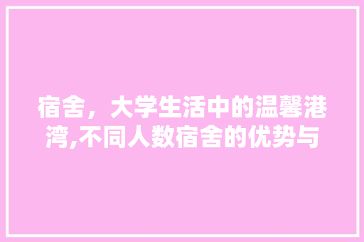 宿舍，大学生活中的温馨港湾,不同人数宿舍的优势与挑战 宿舍，大学生活中的温馨港湾,不同人数宿舍的优势与挑战 网站建设公司