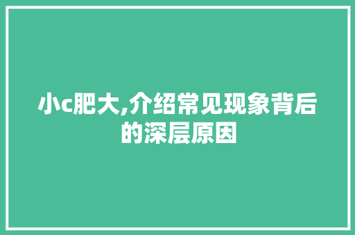 小c肥大,介绍常见现象背后的深层原因 小c肥大,介绍常见现象背后的深层原因 必应SEO