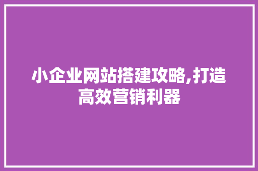小企业网站搭建攻略,打造高效营销利器