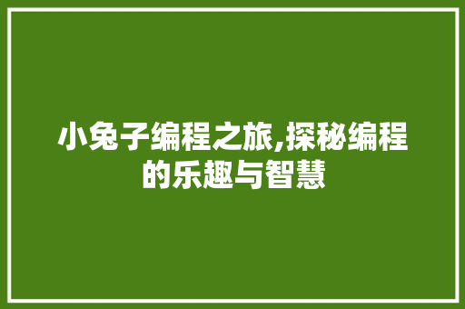 小兔子编程之旅,探秘编程的乐趣与智慧 小兔子编程之旅,探秘编程的乐趣与智慧 网站建设公司