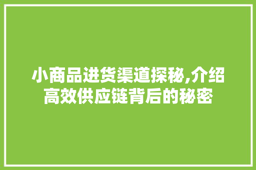 小商品进货渠道探秘,介绍高效供应链背后的秘密 小商品进货渠道探秘,介绍高效供应链背后的秘密 必应SEO