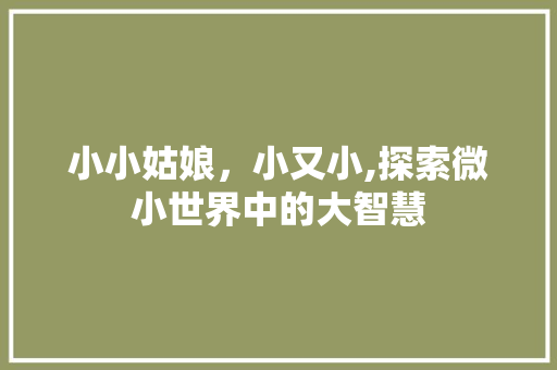 小小姑娘，小又小,探索微小世界中的大智慧