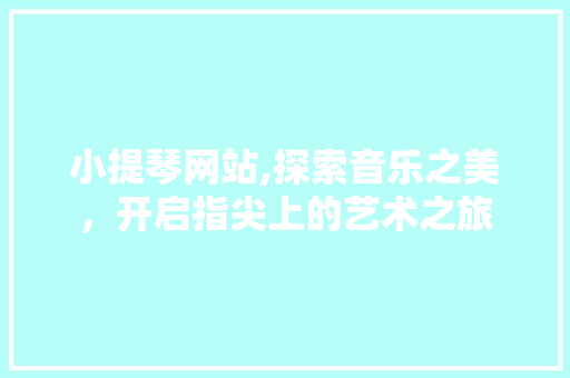 小提琴网站,探索音乐之美，开启指尖上的艺术之旅