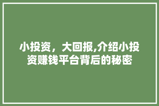 小投资，大回报,介绍小投资赚钱平台背后的秘密 小投资，大回报,介绍小投资赚钱平台背后的秘密 百度SEO