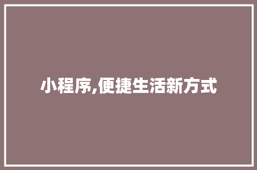 小程序,便捷生活新方式 小程序,便捷生活新方式 必应SEO