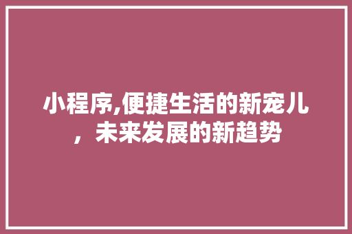 小程序,便捷生活的新宠儿，未来发展的新趋势 小程序,便捷生活的新宠儿，未来发展的新趋势 必应SEO