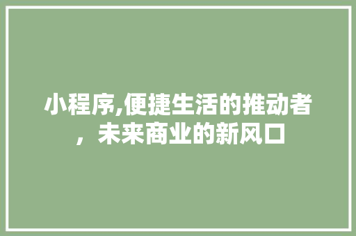 小程序,便捷生活的推动者，未来商业的新风口 小程序,便捷生活的推动者，未来商业的新风口 必应SEO