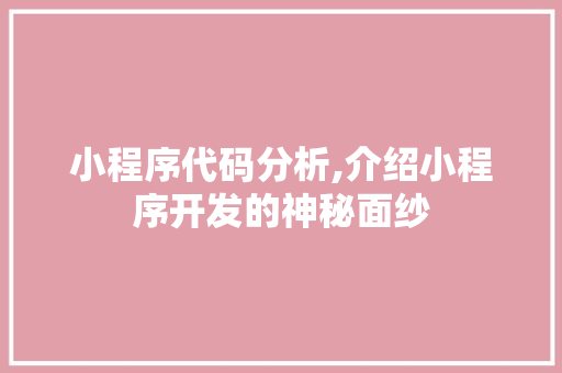 小程序代码分析,介绍小程序开发的神秘面纱 小程序代码分析,介绍小程序开发的神秘面纱 百度SEO