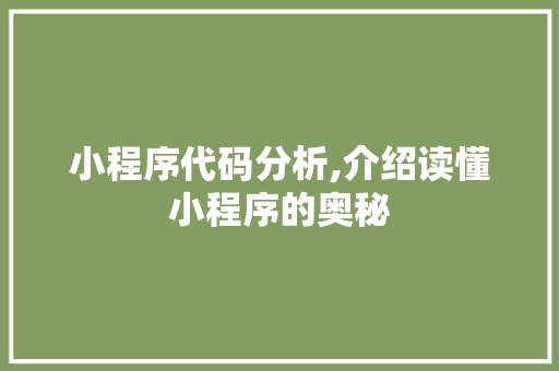 小程序代码分析,介绍读懂小程序的奥秘 小程序代码分析,介绍读懂小程序的奥秘 搜狗SEO