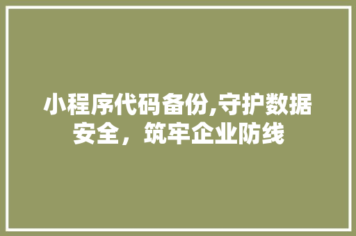 小程序代码备份,守护数据安全，筑牢企业防线