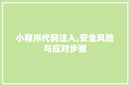 小程序代码注入,安全风险与应对步骤 小程序代码注入,安全风险与应对步骤 SEO关键词